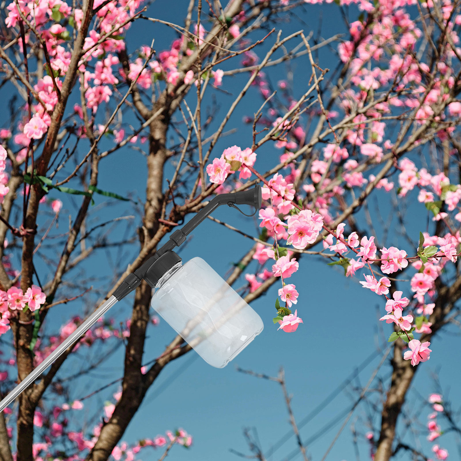 手動授粉スティックハンドヘルド授粉器ツール温室園芸用品野菜花 - Flower Supplies のレビューと価格